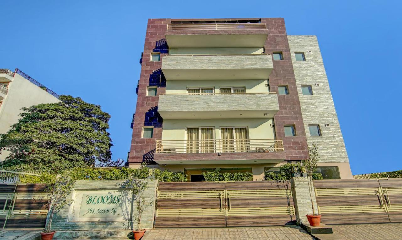 Hôtel Treebo Trend Blooms Premium à Gurgaon Extérieur photo